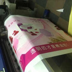 背胶写真